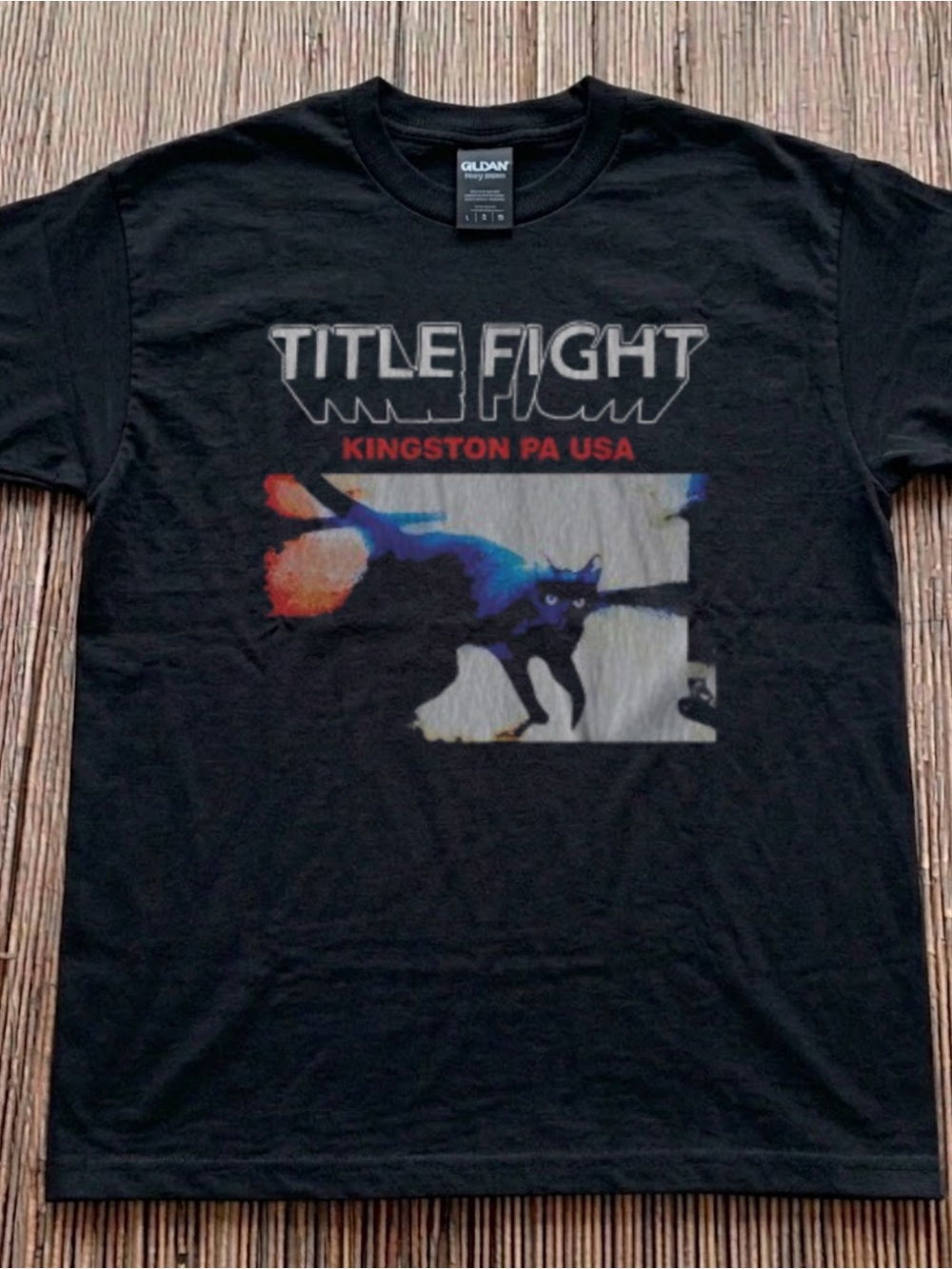 Gildan Black 'Title Fight' Kingston PA USA Band Tee with Multicolor Cat Graphic